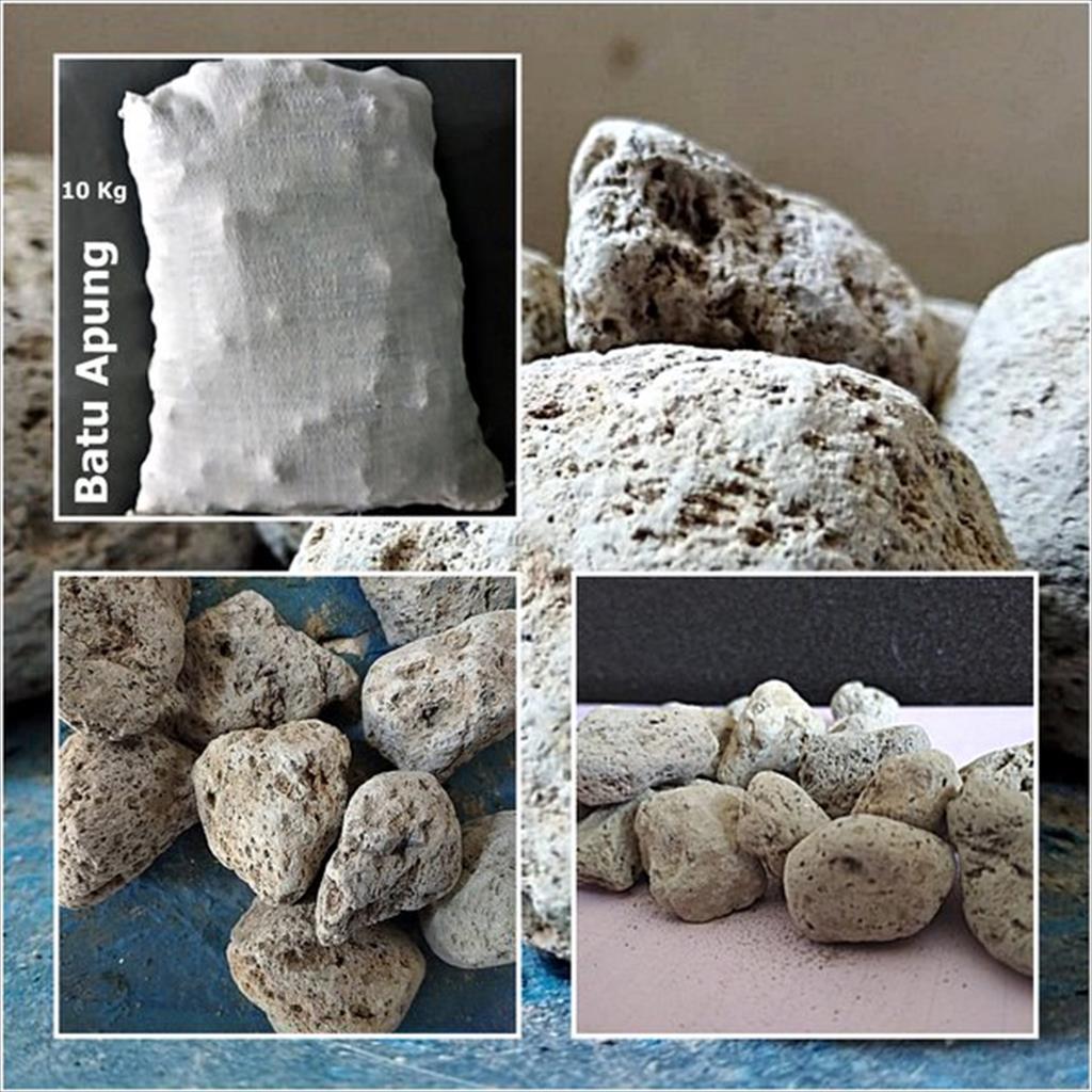 Batu Apung 10kg