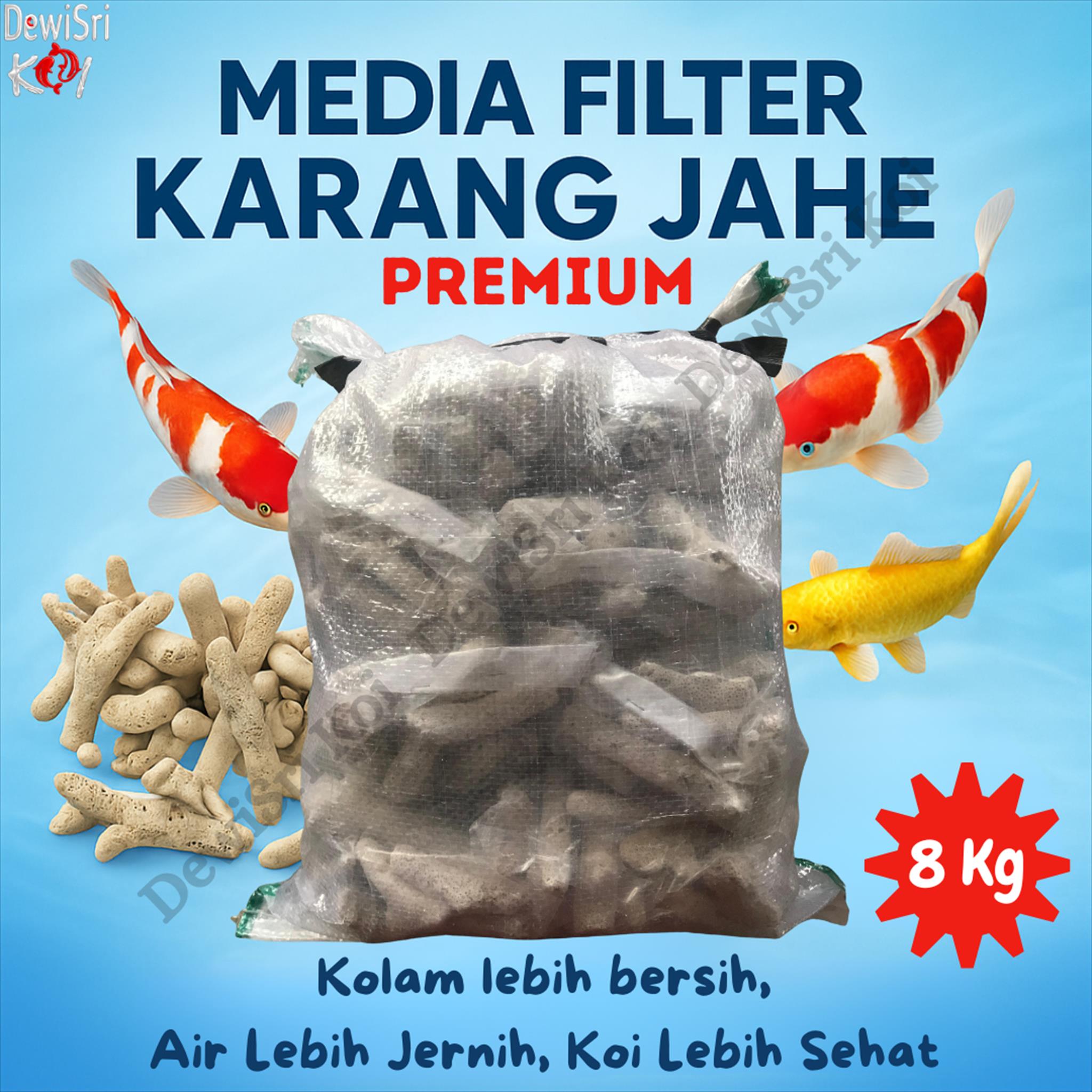 Karang Jahe 8kg