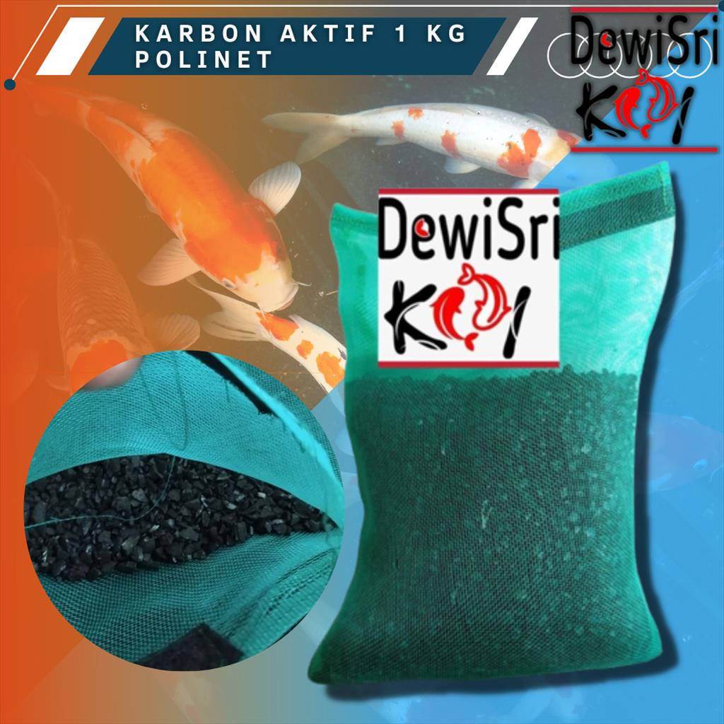 Karbon Aktif 1kg + polinet