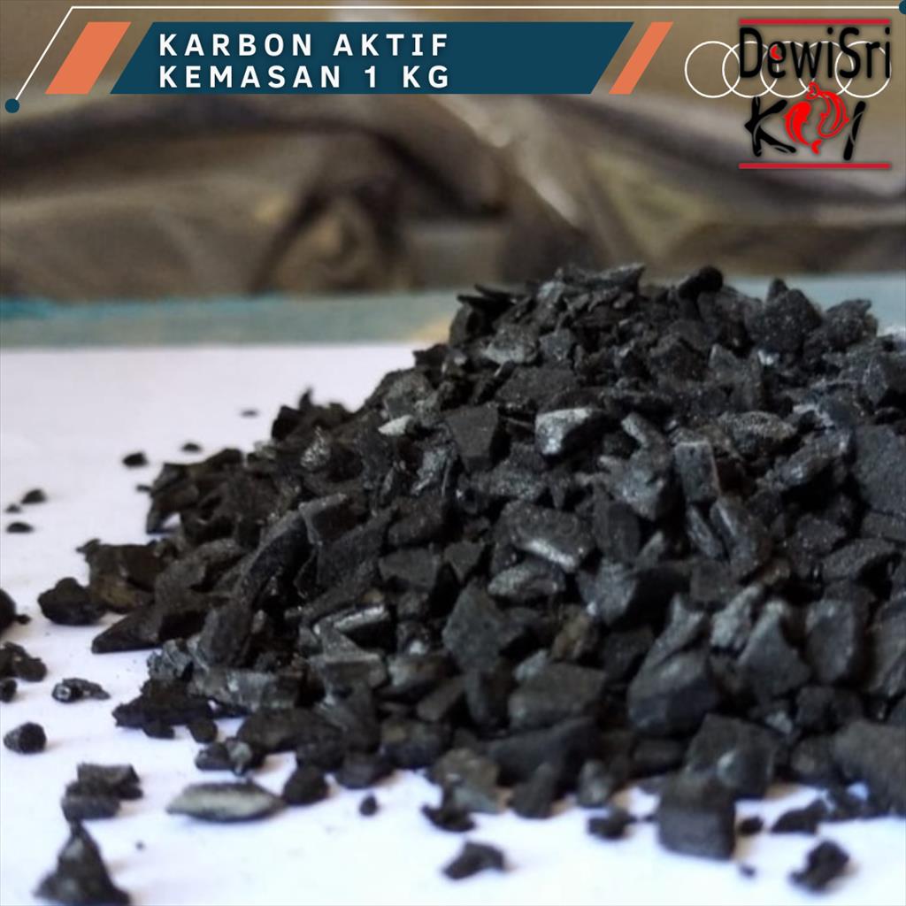 Karbon Aktif 1kg