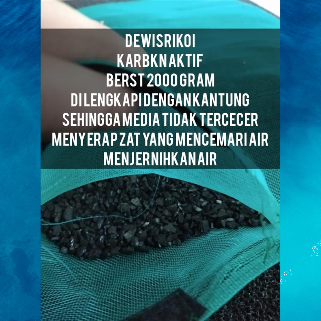 Karbon Aktif 2kg + polinet