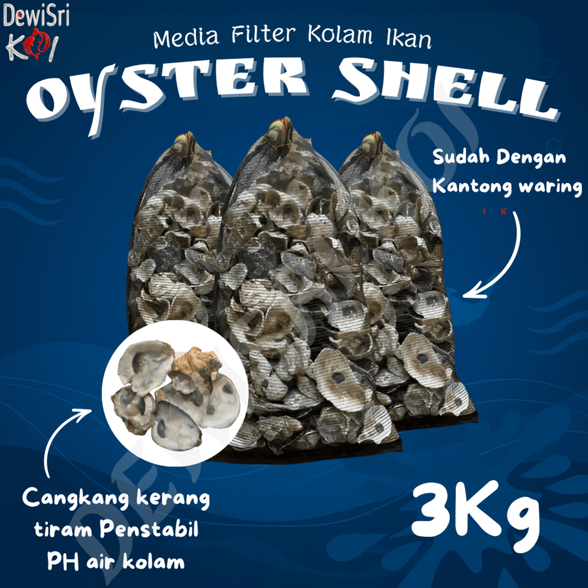 Kerang Oyster 3kg + waring
