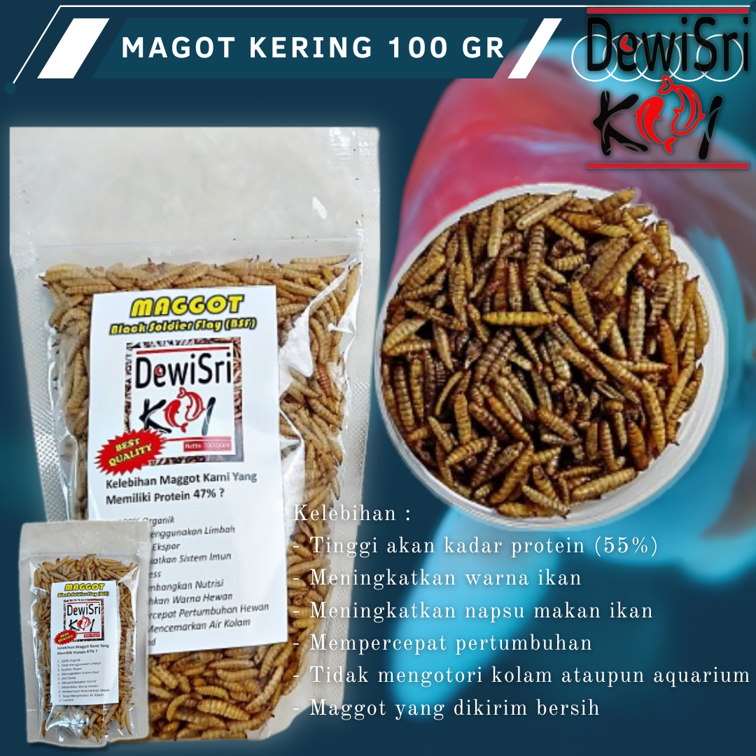 Magot Kering 100gr