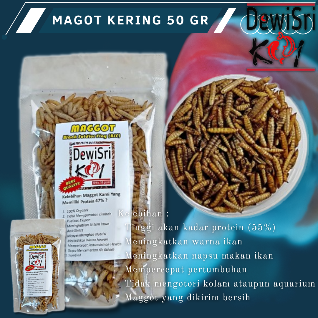 Magot Kering 50gr