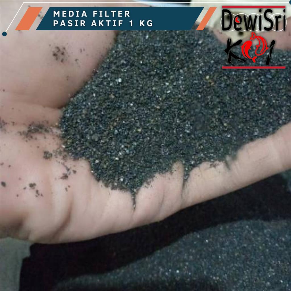 Pasir Aktif 1kg